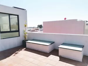 amplio roof garden