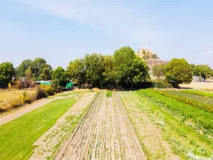 terreno ideal para constructores o inversionistas