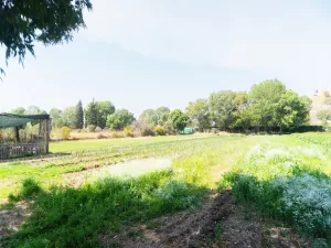 terreno en zona de alta plusvalía