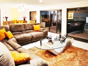 recibidor con mucha luz natural