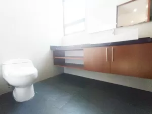 baño principal amplio con terminados de lujo
