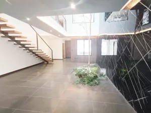 sala con arbol frutal