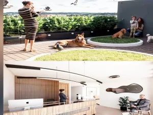 gimansio equipadoy lobby