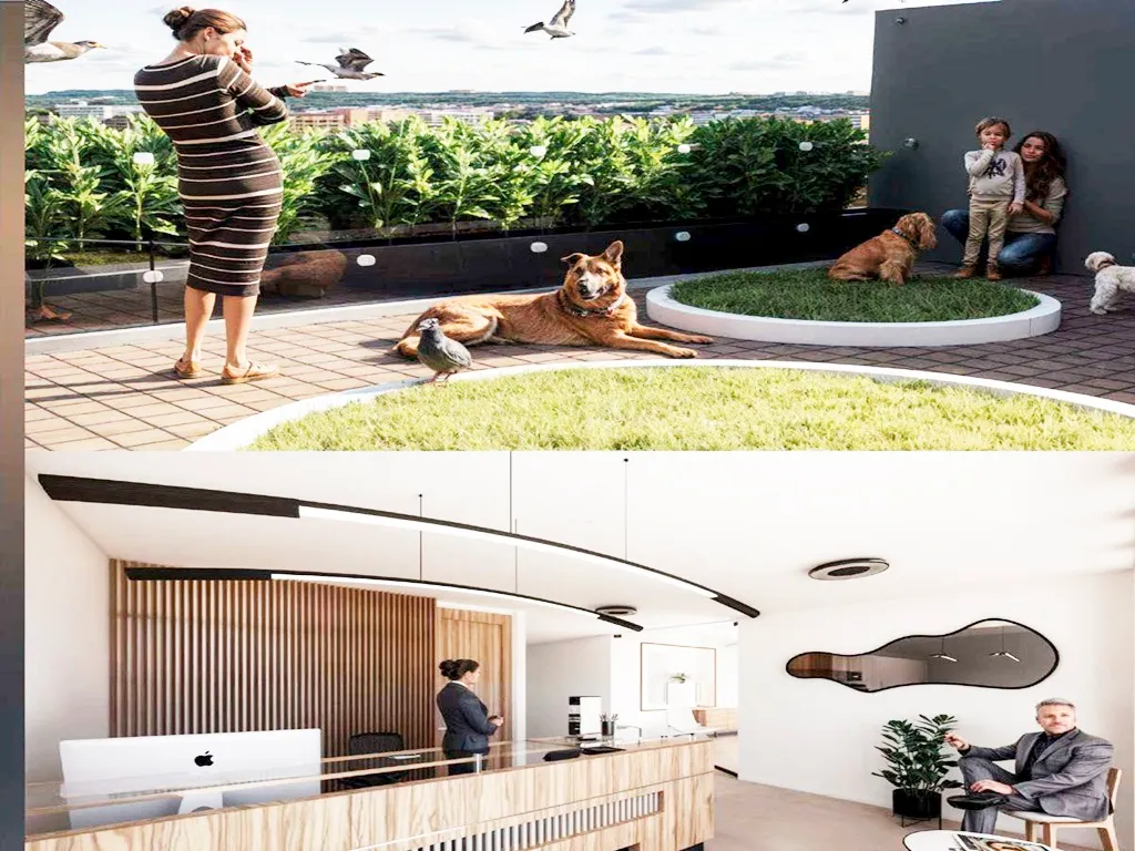 gimansio equipadoy lobby