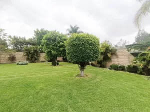 terreno para inversión