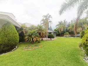 oportunidad de inversión