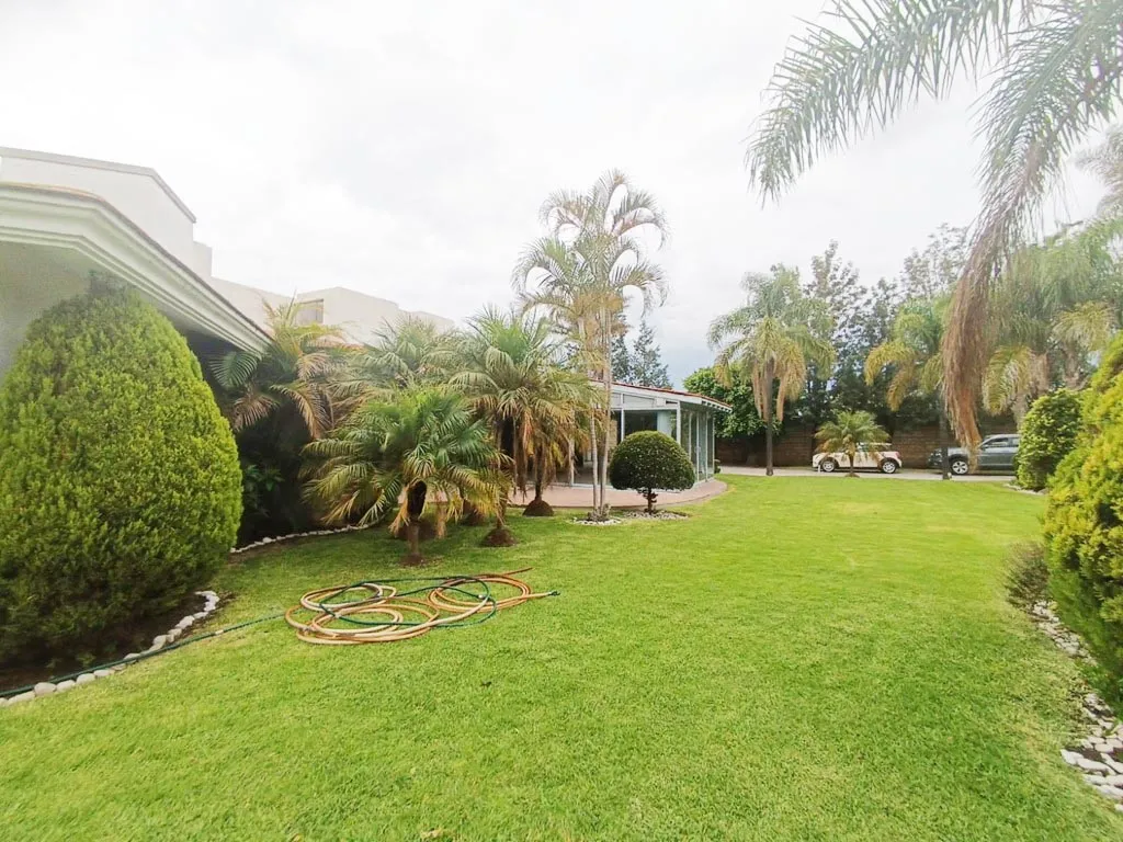 oportunidad de inversión