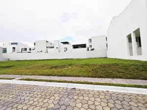 lomas de angelópolis