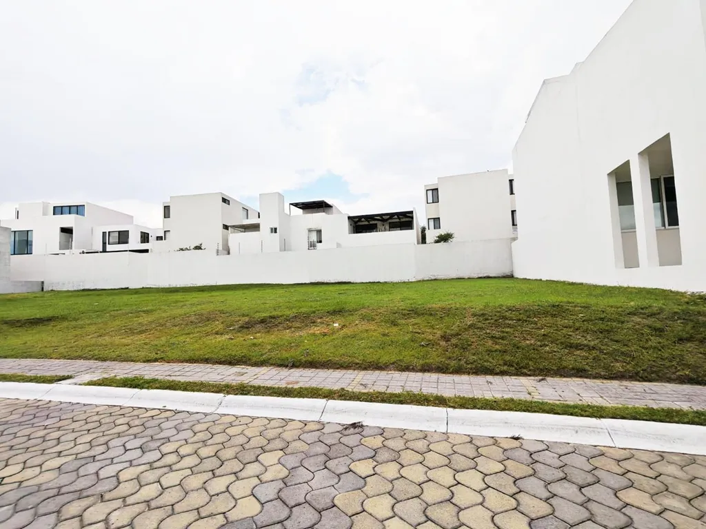 lomas de angelópolis