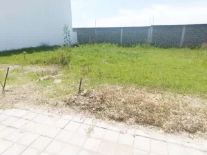 terrenos con vigilancia 24/7