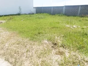 2 terrenos juntos en venta