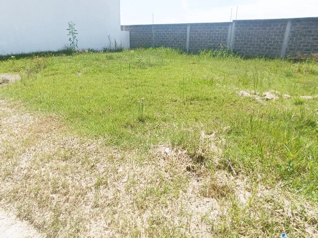 2 terrenos juntos en venta