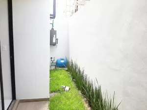 jardín con vista al comedor