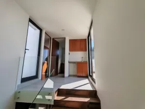 roof garden con barra