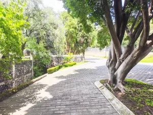 fraccionamiento en zerezotla