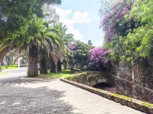 fraccionamiento de lujo