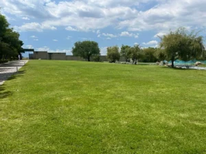 Armonía Residencial armonia zona angelópolis