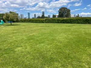 Armonía Residencial fraccionamiento exclusivo