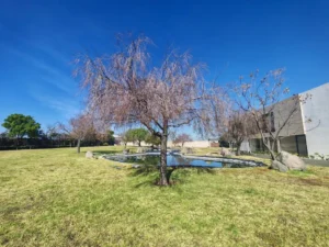 Armonía Residencial fraccionamiento con seguridad