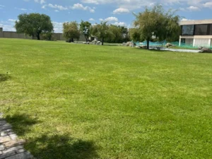 Armonía Residencial fraccionamiento con amenidades