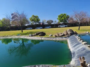 Armonía Residencial venta de lotes residenciales