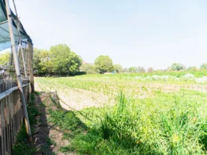 terreno para inversión