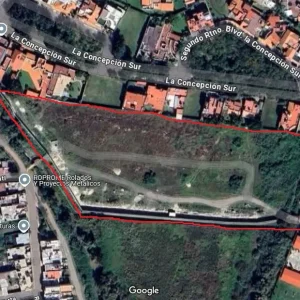 buenavista 11.webp