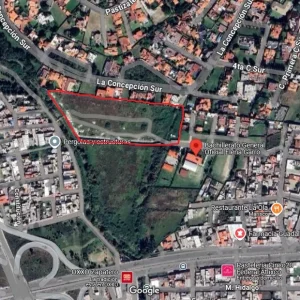 buenavista 12.webp