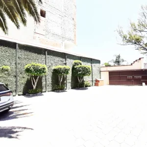 buenavista 3 1.webp