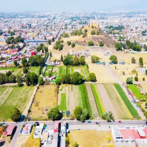 cholula 1.webp
