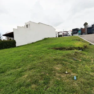 la vista 4 8.webp