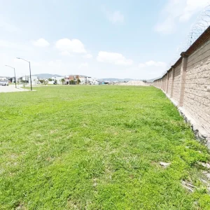 parque volcanes 3.webp