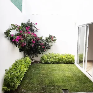 quetzali 6.webp