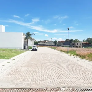 refugio t 14.webp