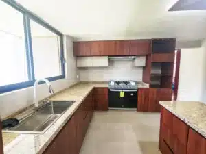 cocina integral equipada con vista al jardín