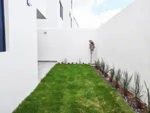 Angelópolis Parque Colima 14 jardpin amplio con vista al comedor y cocina integral