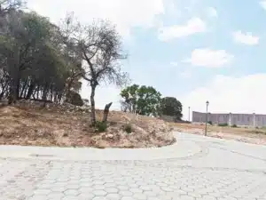 las harás residencial vive rodeado de naturaleza