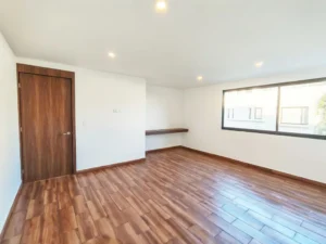 santiago 27 casa con recamara y baño con pleto en planta baja