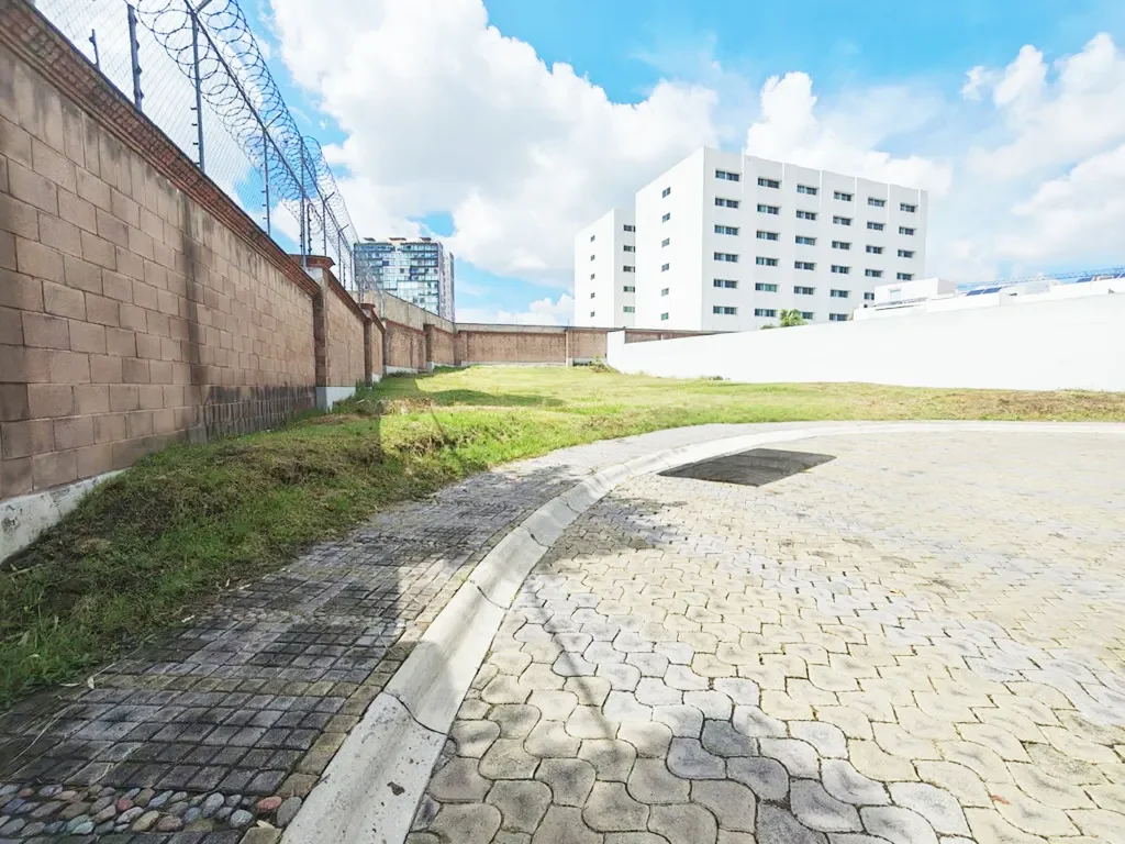 cluster 555 1.webp